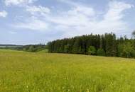 Landwirtschaftliche Flächen