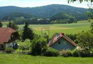 SONNIGE HANGLAGE AM WALDRAND