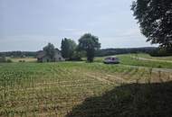 Bauernhaus (stark sanierungsbedürftig) mit viel Grund und kleinem Teich