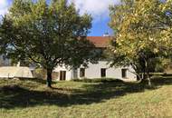 Ruhelage mit Blick auf den Neusiedler See