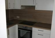 Gemütliche 2 Zimmer Mietwohnung in Puch mit Balkonen und Stellplätzen