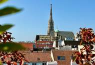 DG-WOHNUNG MIT PRIVATER TERRASSE NÄHE STEPHANSPLATZ
