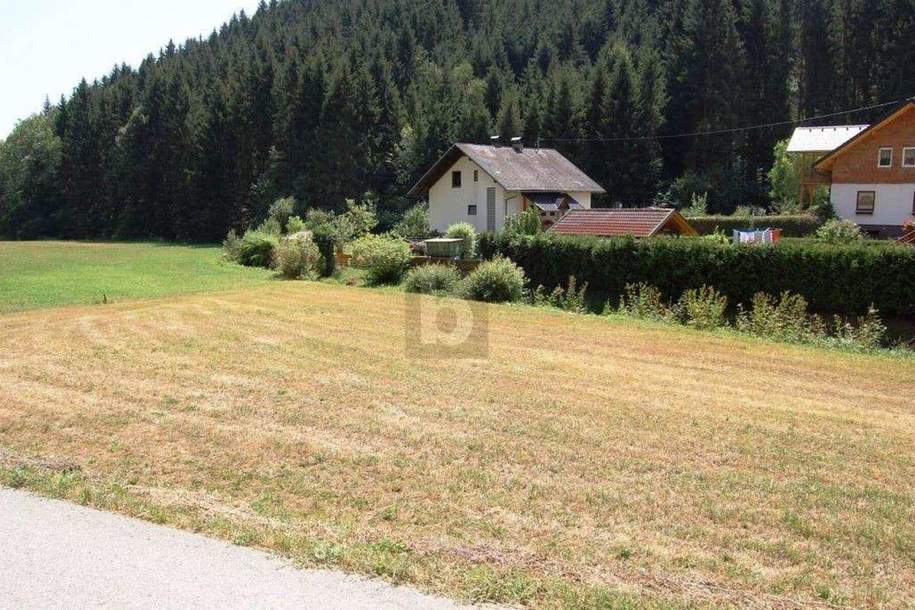 BAUGRUND IN RUHIGER LAGE, Grund und Boden-kauf, 53.000,€, 9433 Wolfsberg