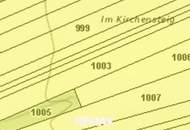 Wald- und landwirtschaftliche Fläche mit 20 370 m² in Untermallebern zu verkaufen!