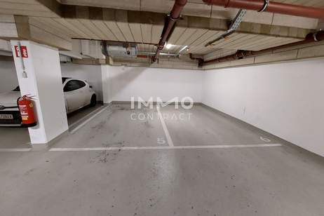 Plankenbüchlergasse 15 Einzelparker, Kleinobjekte-miete, 123,00,€, 1210 Wien 22., Donaustadt