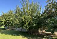 TOP-Preis! Sehr viel Platz im Haus und auch im traumhaften Garten