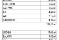TOP DW08 - NEUBAUPROJEKT ITTER - Großzügiges 2-Zi-Penthouse zu kaufen!