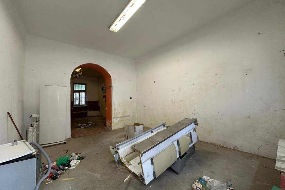 Sanierungsbedürftige 3-Zimmer-Wohnung in zentraler Lage, Wohnung-kauf, 198.900,€, 1020 Wien 2., Leopoldstadt