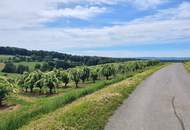 Nebengebäude im Bauland auf einer Bergkuppe in Ruhelage - Obstgarten- Freilandgrundzukauf möglich