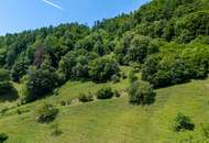 Großzügige Waldfläche nahe Thalersee
