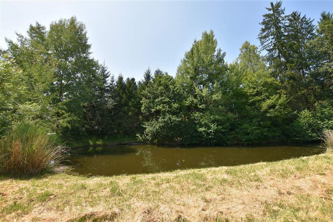 Idyllischer und ruhiger Baugrund mit eigenem Teich