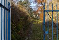 Einzigartige Jahrhundertwende-Villa mit Privatpark und Wald | Blick in alle Himmelsrichtungen | Lichtdurchflutet