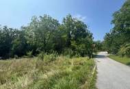 Zwei Baugrundstücke mit angrenzender Waldfläche in Hartberg - Am Brühlbach