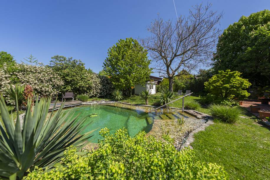 Mediterranes Wohngefühl im Weinviertel – Traumhaus mit Naturpool & Weitblick, Haus-kauf, 1.498.000,€, 2003 Korneuburg