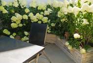 Ihr Stadthaus in Wiener Neustadt – selbst wohnen oder zur Anlage?