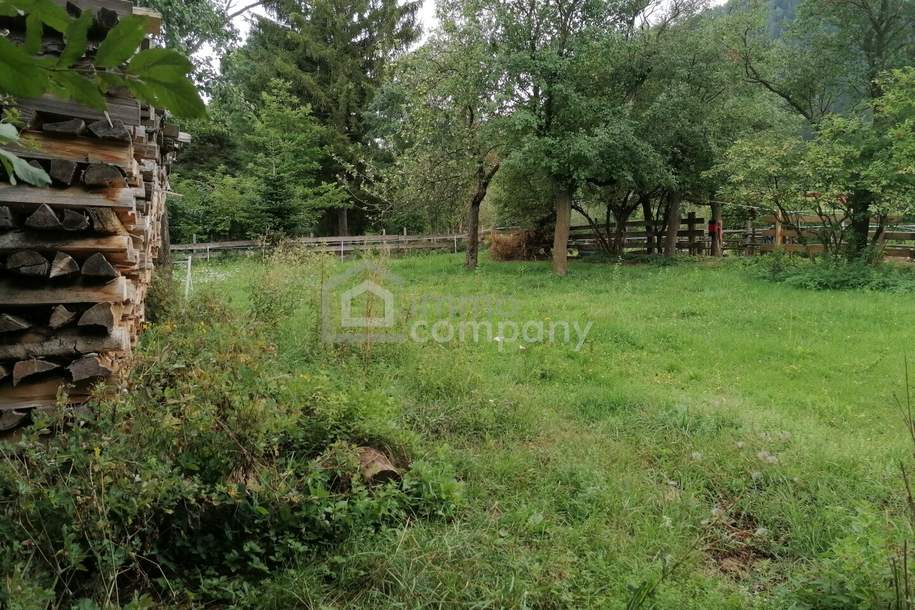 Bauernhaus / Vierkanthof mit großem Ausbaupotenzial in Puchberg am Schneeberg, Haus-kauf, 520.000,€, 2734 Neunkirchen