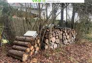 Attraktive Bauparzelle in Spattendorf! – Gemeinde Alberndorf in der Riedmark