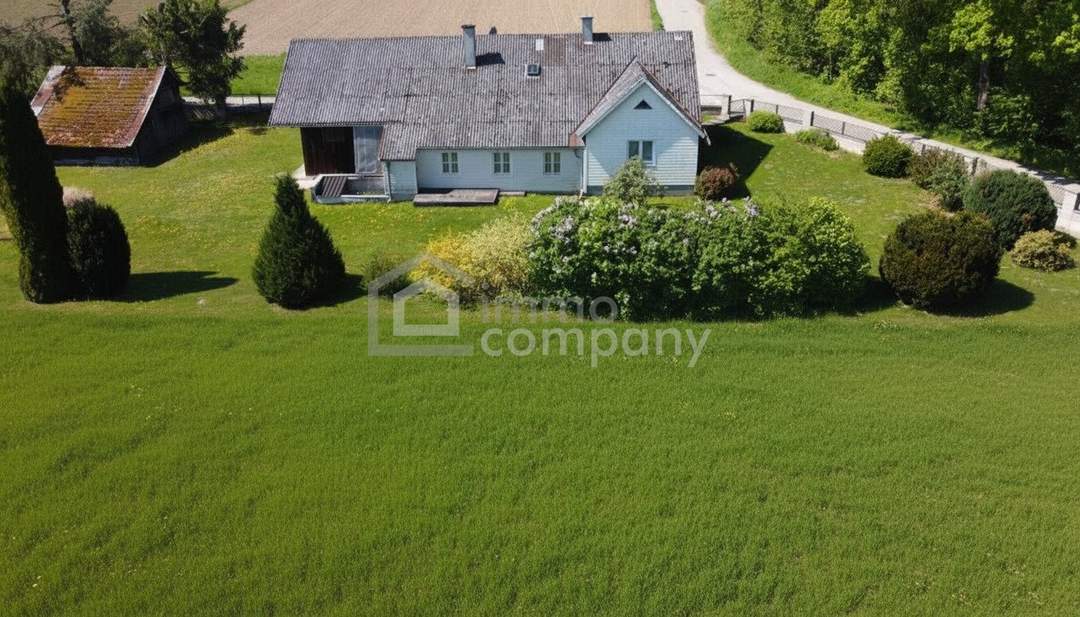 Ein Sacherl in der Natur und vieeeeel Freifläche