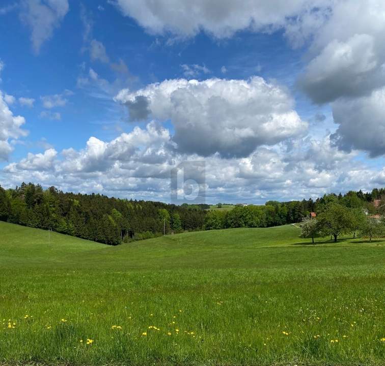 Preisreduktion! LEICHTE HANGLAGE MIT TRAUMAUSSICHT IN DIE NATUR