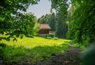 Zum Verkauf steht ein zusammenhängendes Landwirtschafts- und Waldgrundstück mit Holzhaus