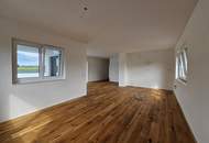 Provisionsfrei! Neubau: 124m² Penthousewohnung mit Traunsteinblick in Ruhelage