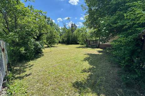 Ihr Gartenparadies mit Haus in TOP-RUHELAGE, Haus-kauf, 275.000,€, 2630 Neunkirchen