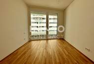 Luxurious 3 room flat with balcony! Danubeview