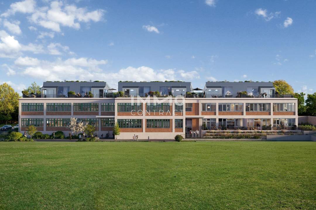 Geräumige Dreizimmer-Wohnung auf einer Ebene mit viel Licht & attraktiver Terrasse