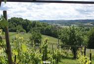 IN SLOWENIEN!! Authentisches Kellerstöckl mit Weinberg in Slowenien!