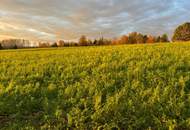 Charmantes Holzblockhaus (Wunsch-Haus) in wunderschöner Natur- und Aussichtslage in Bubing