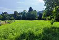 Charmantes Zuhause mit riesigem Gartenparadies in Pottschach zu verkaufen!