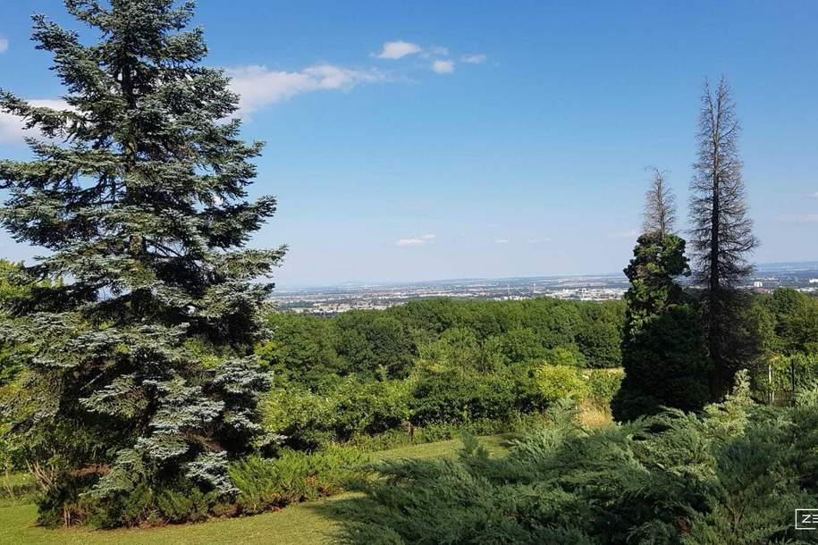 Seltene Gelegenheit: Winzerhaus auf uneinsehbarem Grundstück | ZELLMANN IMMOBILIEN, Grund und Boden-kauf, 550.000,€, 2380 Mödling