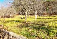 Panorama 200m² WFL, 2 Wohngeschoße, großer Garten, Obstbäume, Wald