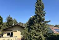 Gepflegtes Einfamilienhaus in Riedenthal - Nähe Wolkersdorf