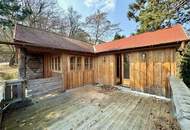 ++ KNUSPERHÄUSCHEN ++ zur MIETE mitten im WALD