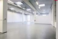 Lagerhalle 430 m2 mit Büro 230 m2 Kombination südlich von Wien, in Wr. Neudorf