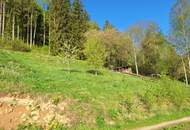 Leben mit Weitblick – Hanglage ohne Bauzwang