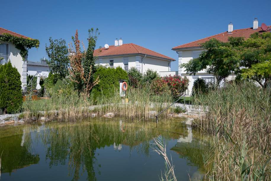 Modernes Familienhaus mit direktem Zugang zum privaten Schwimmteich, Haus-kauf, 319.900,€, 7011 Eisenstadt-Umgebung