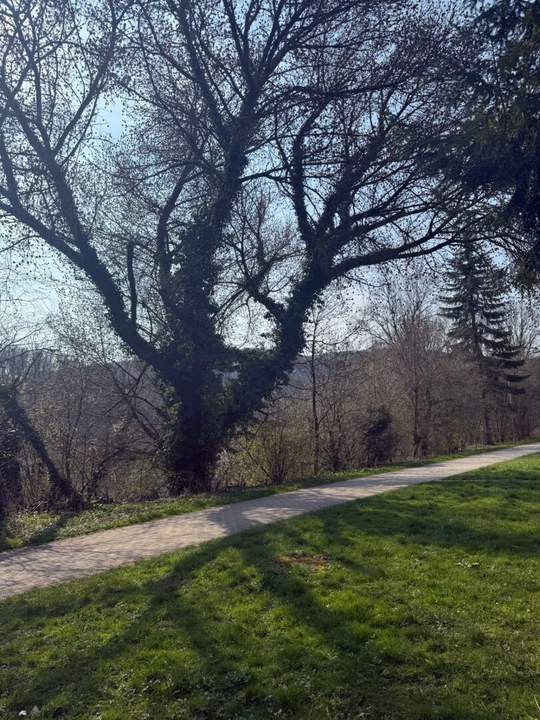 Sanierungsbedürftiges NATURIDYLL in LINZ/Puchenau (BUNGALOW IN U FORM)