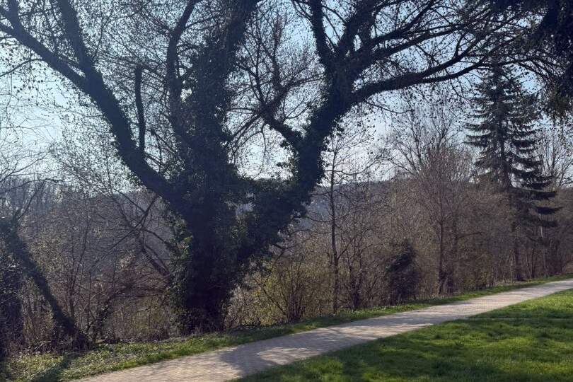 Sanierungsbedürftiges NATURIDYLL in LINZ/Puchenau (BUNGALOW IN U FORM), Haus-kauf, 450.000,€, 4048 Urfahr-Umgebung