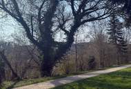 Sanierungsbedürftiges NATURIDYLL in LINZ/Puchenau (BUNGALOW IN U FORM)