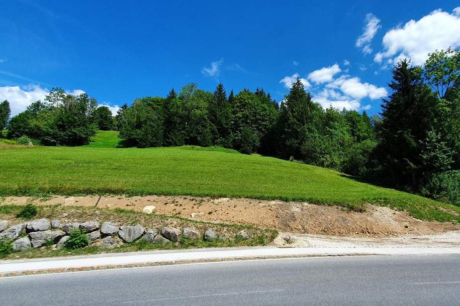 Wunderschönes Grundstück für Ihr Eigenheim, Grund und Boden-kauf, 145.000,€, 8990 Liezen