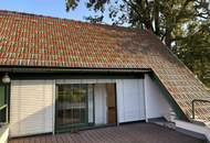 Bürofläche inkl. Dachterrasse zu vermieten (provisionsfrei)