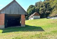 Renovierungsbedürftiges Bauernhaus mit Nebengebäude und Ackerland