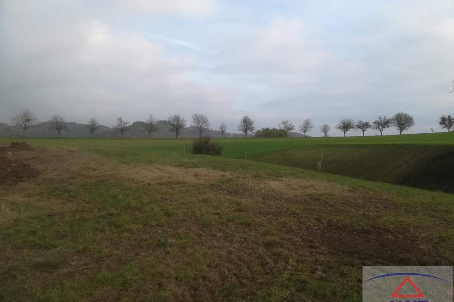 Tolle Baugrundstücke in 4342 Baumgartenberg!, Grund und Boden-kauf, 4342 Perg