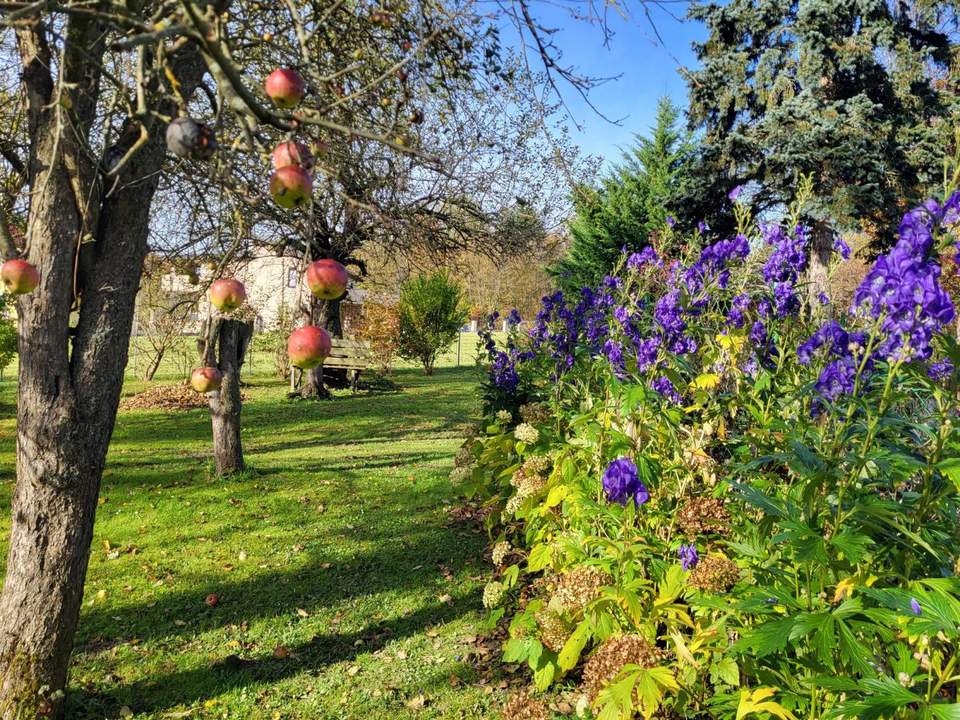 IDYLLISCHER LANDSITZ AUF ca. 3200m² BAULAND-AGRARGEBIET MIT VORRÜBERGEHENDEM WOHNRECHT ZU VERKAUFEN.