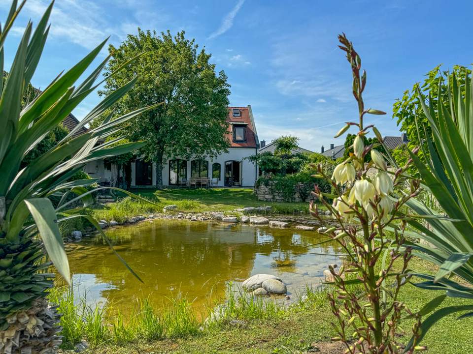 Mediterranes Lebensgefühl in liebevoll erhaltenem Streckhof Nähe Eisenstadt