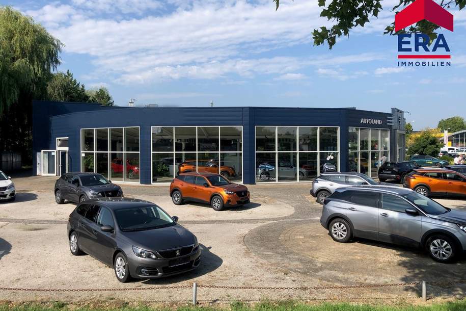 Kooperation gesucht - Teilanmietung - Moderner KFZ Betrieb in Mistelbach, Gewerbeobjekt-miete, 2130 Mistelbach