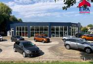 Kooperation gesucht - Teilanmietung - Moderner KFZ Betrieb in Mistelbach