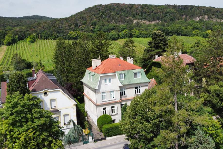 Villa im Cottageviertel, Haus-kauf, 2.599.000,€, 2340 Mödling